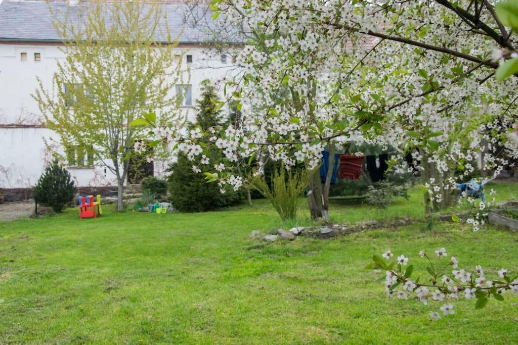 Gospodarstwo U Krakusa Doboszowice Exterior foto